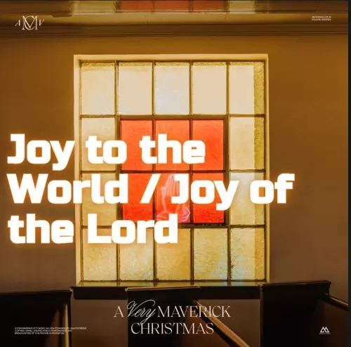 maverick joy to the world