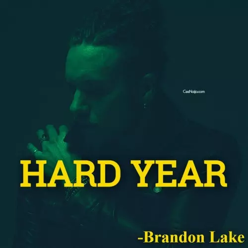 brandon lake hard year