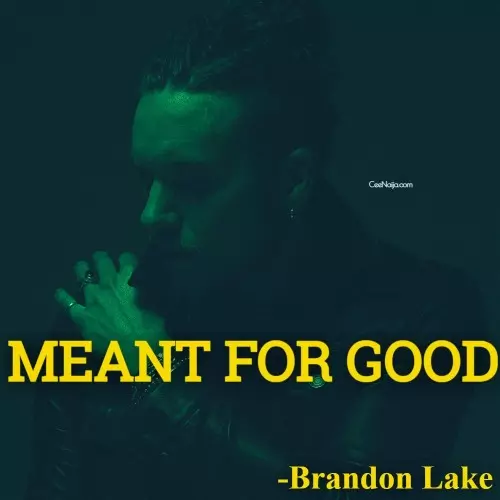 Brandon Lake Meant For Good