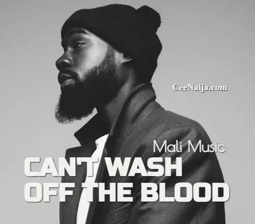 Mali Music Cant Wash Off The Blood