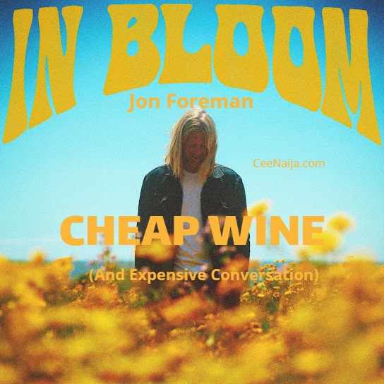 Jon Foreman Cheap Wine And Expensive Conversation