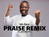 Nii Okai Praise Remix